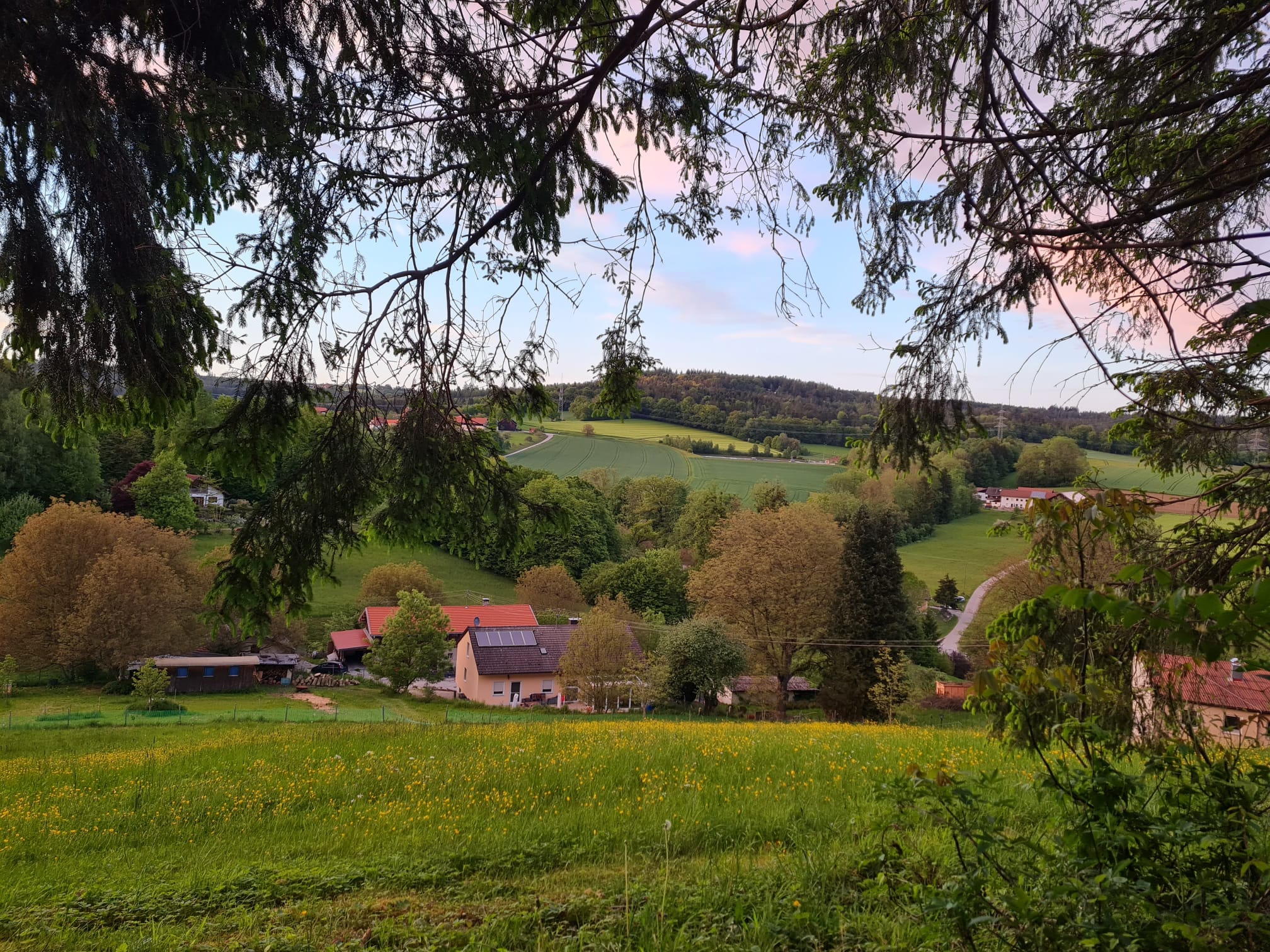 Natur
